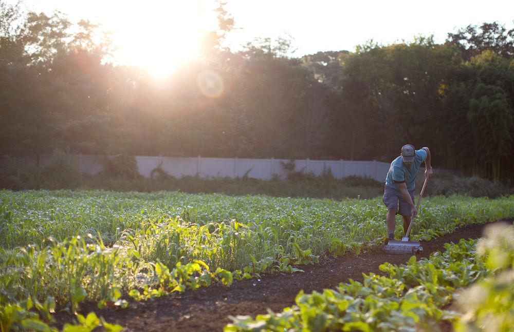 Topping Rose House Bridgehampton Bagian luar foto