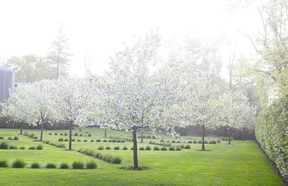 Topping Rose House Bridgehampton Bagian luar foto